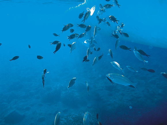 Underwater