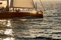 Sail Yacht Ocean Voyager 74